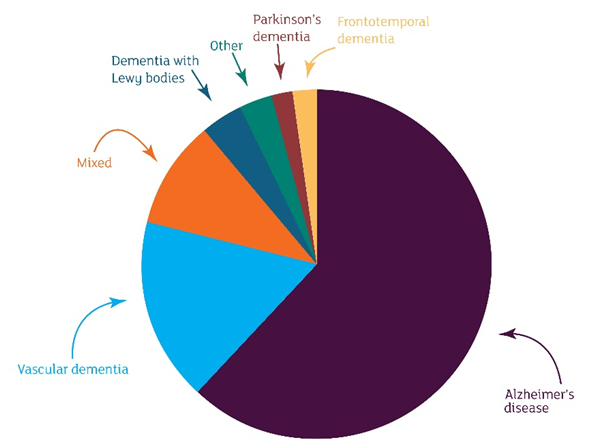 dementia prevalence chart