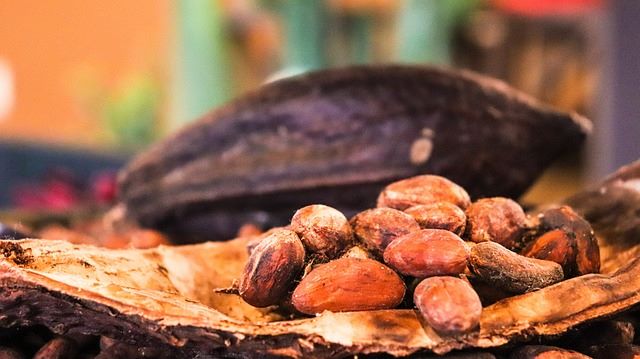 cacao and chocolate
