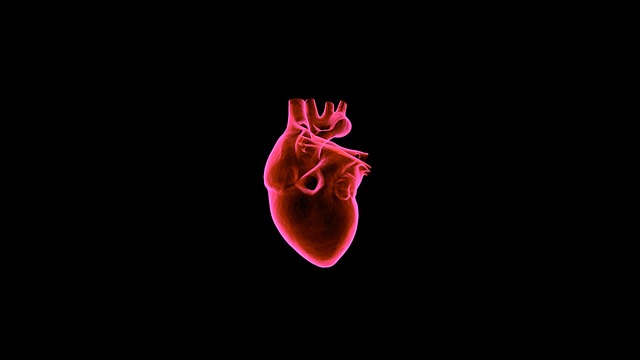 heart health