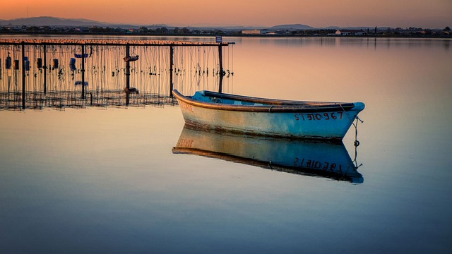 I found mine in a diverse care team