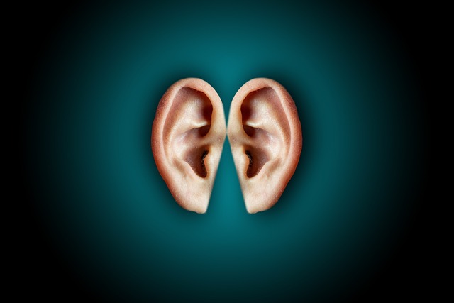 Decoding the Language of Hearing Aids