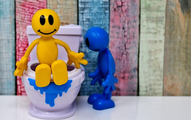 Seniors Bathroom Safety