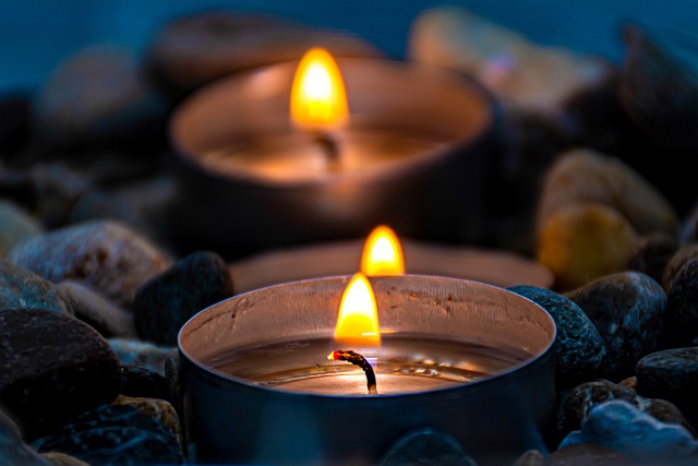 Palliative Care for Seniors