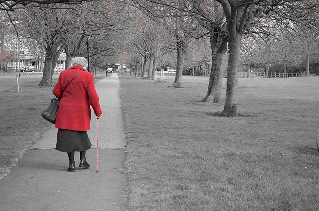Senior Fall Risks