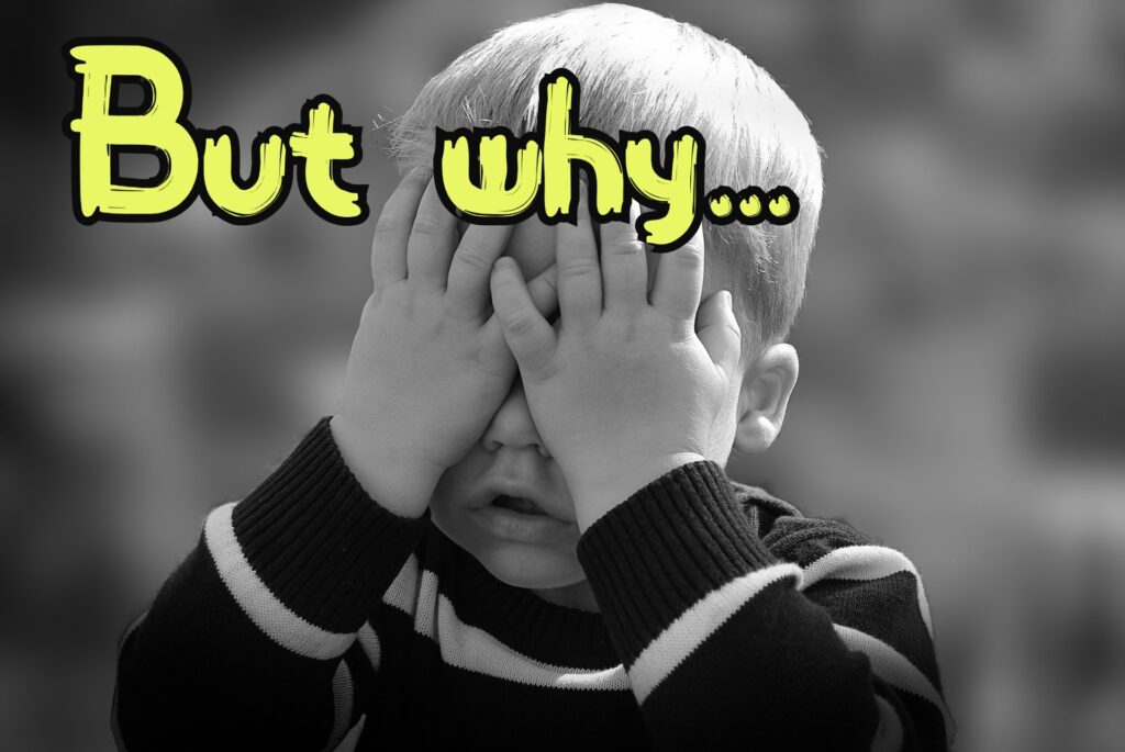 Why More Adults Are Choosing Nappies